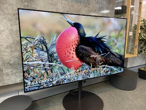 Loewe Bild i.55 55 Inch 4K OLED TV - New Ex-Display - Five Year Warranty