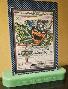 Pokémon Teal Mask Ogerpon Ex-Display Case With Holo Promo Card (SVP 166)