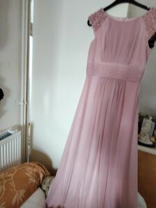 Elija J Long Evening Dress Blush Size 10 Ex-Display