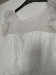 Coast Occasion Ivory Dress Size 14 New Ex-Display