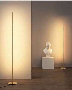 TACAHE LED Floor Lamp 57.5