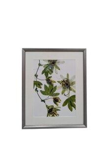 Ex-Display 'Save Me I Am Wild' Photographic Print, Framed Wall Art