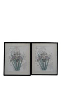Ex-Display Save Me I Am Wild Photographic Print / Wall Art
