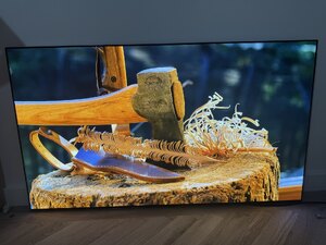 LG OLED55G45LW 55-inch G4 Gallery Edition 4K OLED TV - Near Mint Ex-Display Boxed