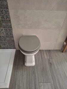 Burlington Back To Wall Toilet Pan And Seat (Ex-Display) - Classic Grey