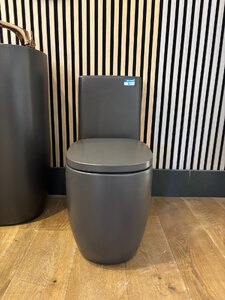 Ex-Display Roca Beyond Coffee Back to Wall Toilet