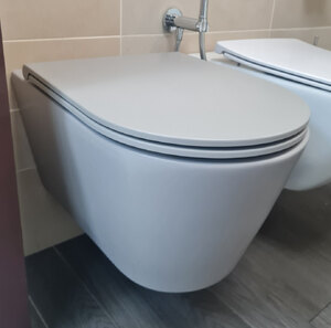 Ex-Display Alice Ceramica Hide Wall Hung WC Rimless Pan and Seat in Matt Grey 57cm x 37cm