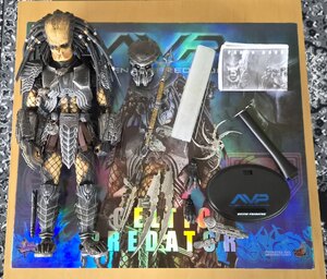 Hot Toys AVP Celtic Predator Figure Ver 1 1/6th Scale Boxed Ex-Display