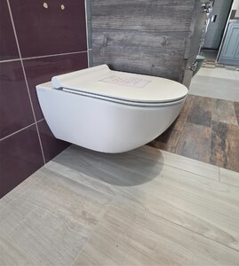 Catalano Sfera 54 Rimless Wall-Hung WC Pan with Soft-Close Seat - Ex-Display